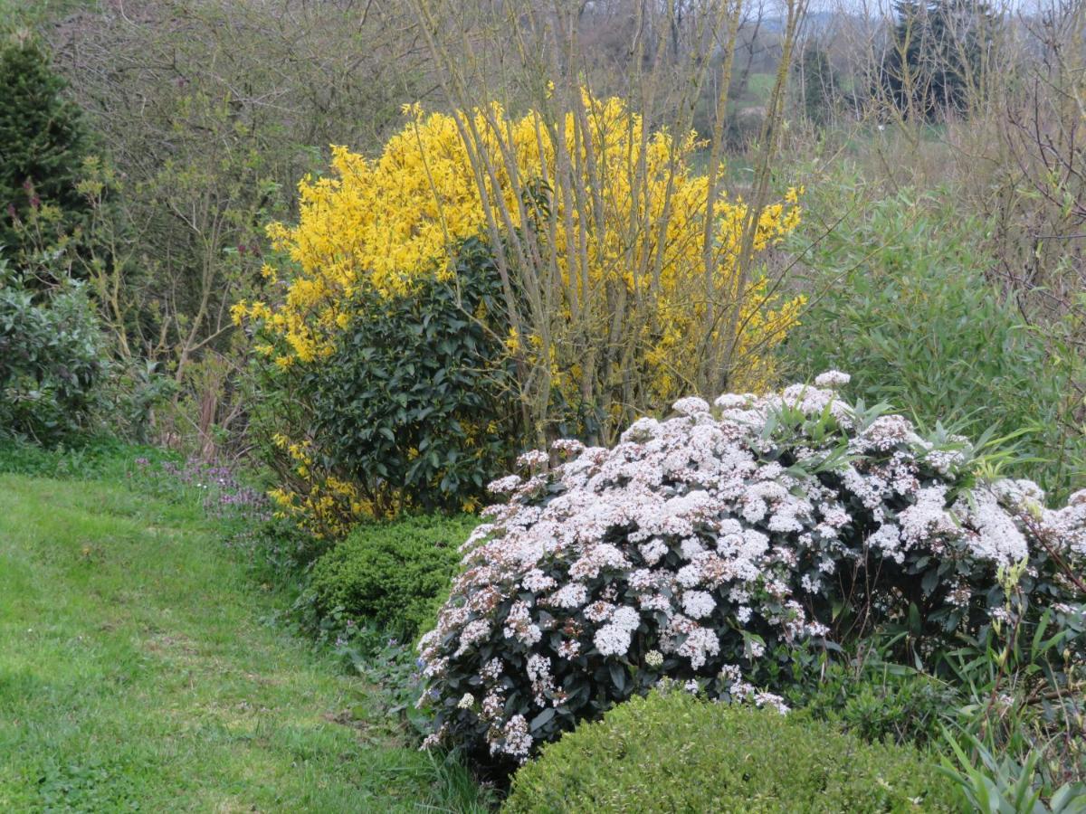 Ecrin de Verdure Sainte-Suzanne  Buitenkant foto