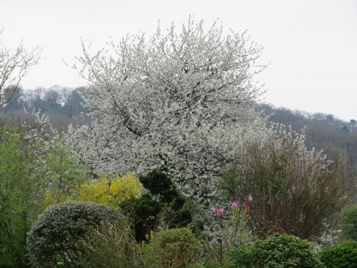 Ecrin de Verdure Sainte-Suzanne  Buitenkant foto