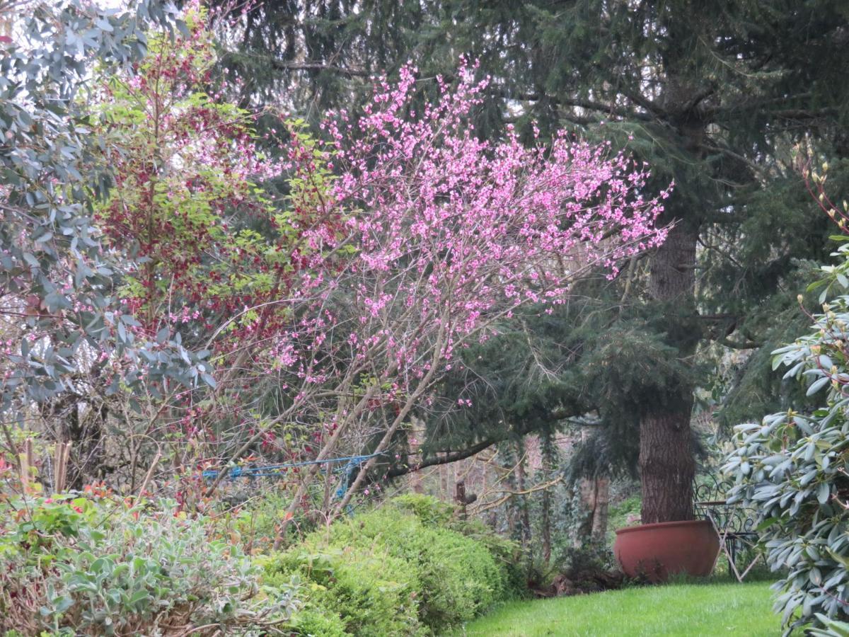 Ecrin de Verdure Sainte-Suzanne  Buitenkant foto