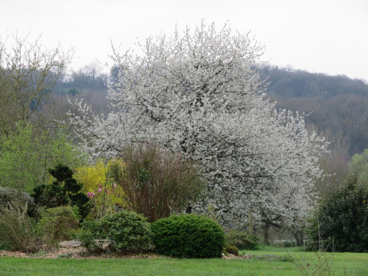 Ecrin de Verdure Sainte-Suzanne  Buitenkant foto