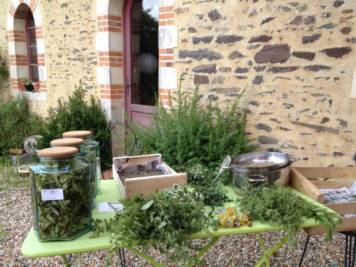 Ecrin de Verdure Sainte-Suzanne  Buitenkant foto